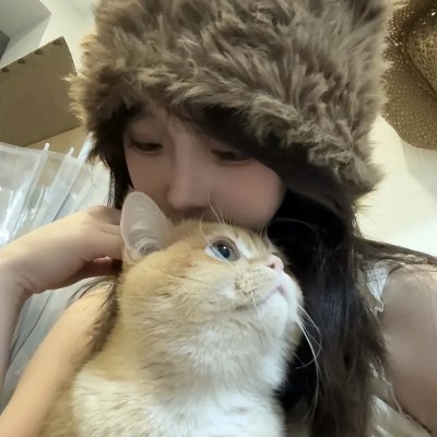 梦之森林